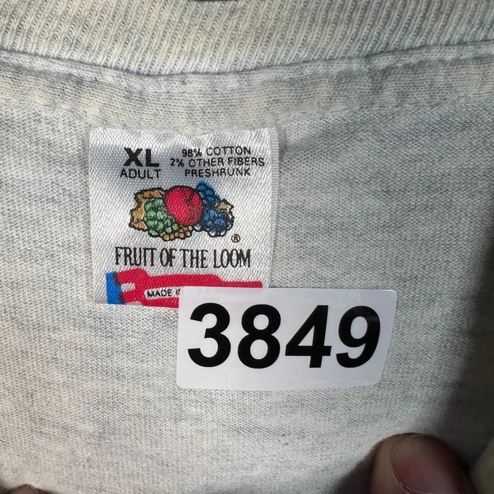 Vintage 1994 ITD Fitness Challenge Idaho‎ T Shirt XL Fruit of the Loom Ash Gray